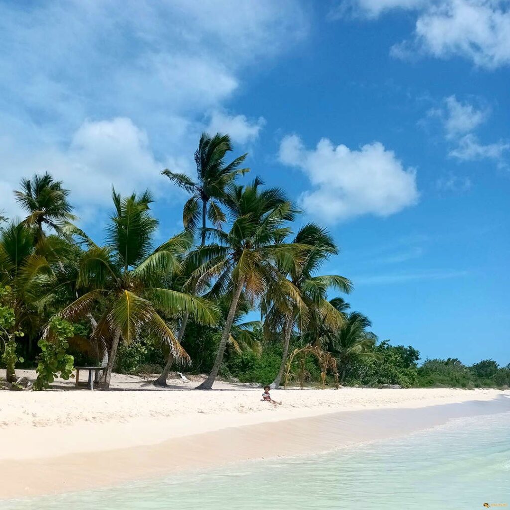 saona-05.jpg